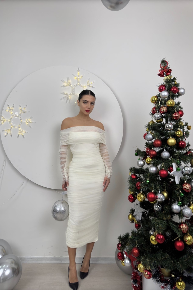 Strapless Ruffle Long Sleeve Tulle Dress - Producer: Miss Janell - Wholesale Women Clothes - TheBS Women