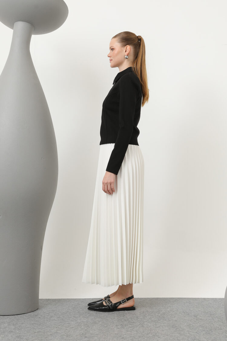 Women's Pleated Skirt - Producer: Puane - Wholesale Women Clothes - TheBS Women
