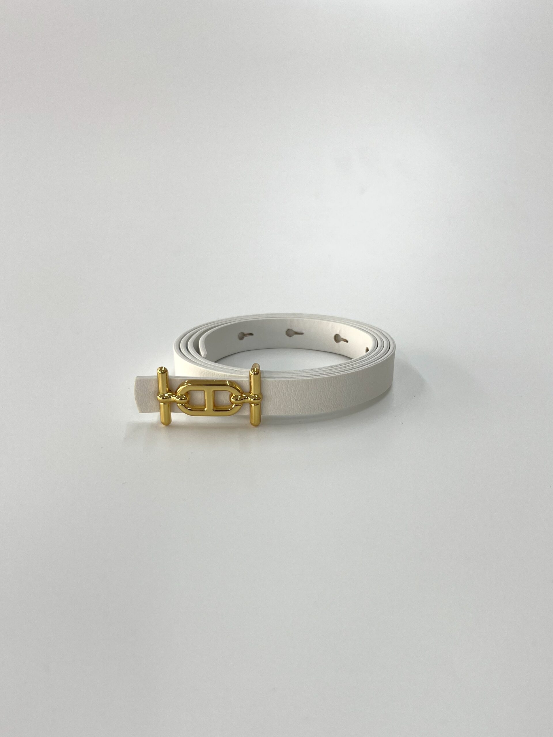 Thin Belt With Gold Buckle - Producer: Fiori - Wholesale Women Clothes - TheBS Women