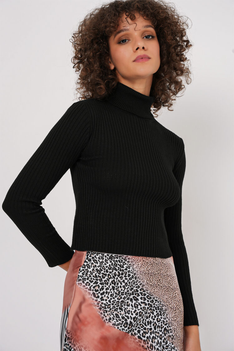 Turtleneck Knit Sweater - Brand: Bigdart - Women & Kids, Baby Clothes Wholesale - TheBS Women